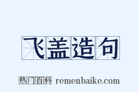 飞盖造句是什么意思的图片